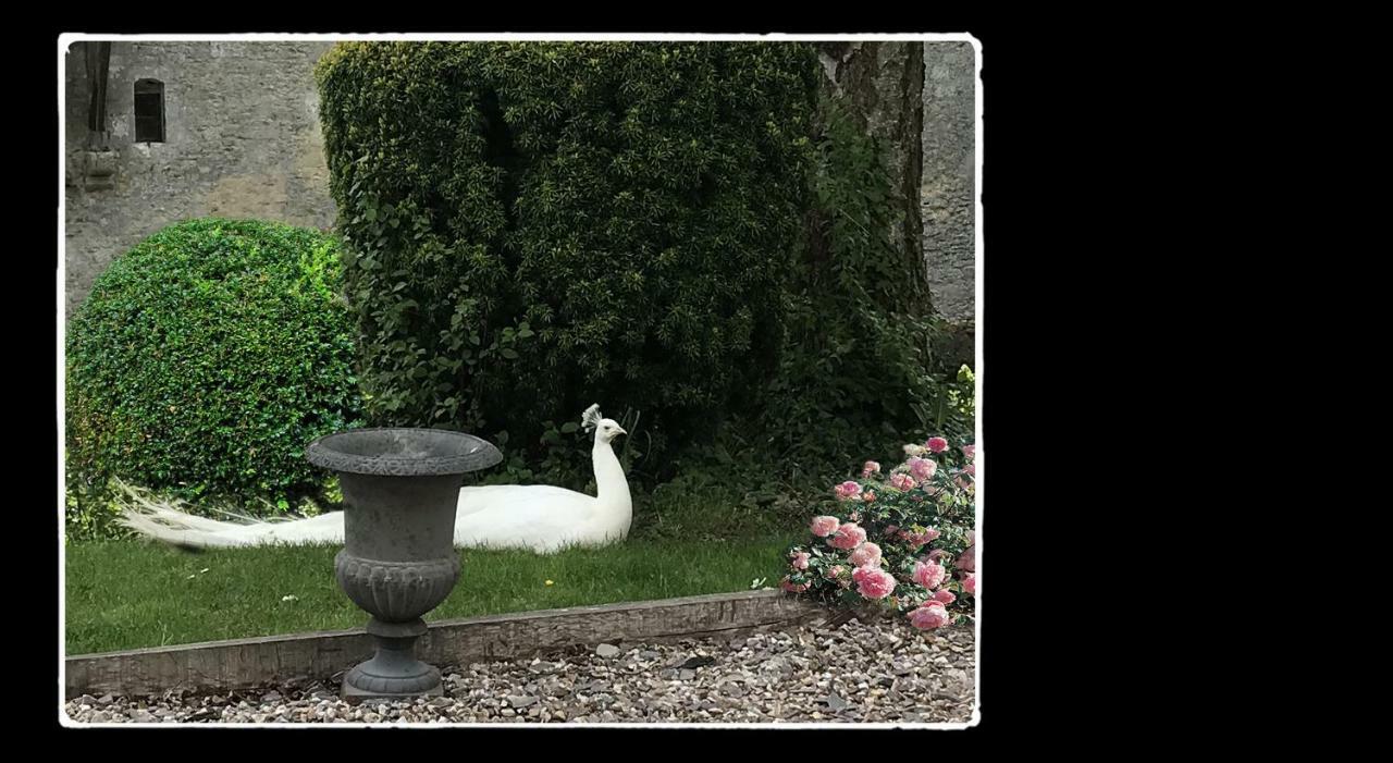 Manoir De Livet Bed & Breakfast Saint-Germain-de-Livet Exterior photo